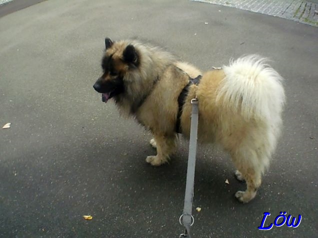 21.8.2025 - Trocknung, bitte